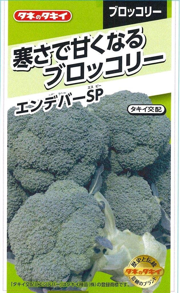 Amazon | タキイ種苗 寒さで甘くなるブロッコリー エンデバーSP